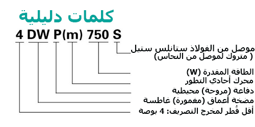 كلمات دليلية