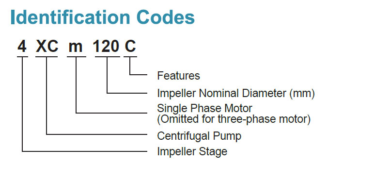 Identification Codes