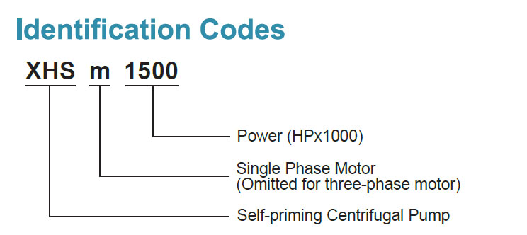 Identification Codes